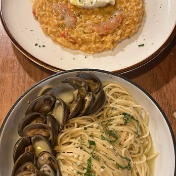 081 Cafe - Shrimp risotto and linguini and clams - Italian Near Me - Ho-Ho-Kus, New Jersey