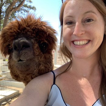The Alpaca Hacienda - Attraction Farms Near Me - Temecula, California