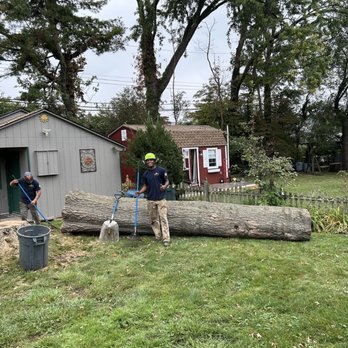 BK Tree and Landscape - Tree Services Near Me - Conshohocken, Pennsylvania BK Tree and Landscape - Tree Services Near Me - Conshohocken, Pennsylvania