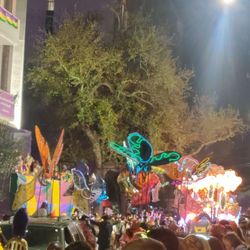 Krewe of Muses