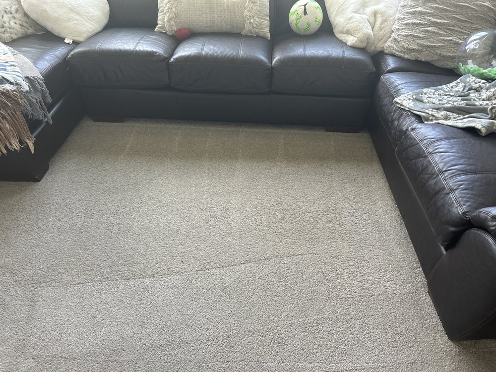 MAJESTIC STEAM CARPET & UPHOLSTERY CLEANING Updated September 2024