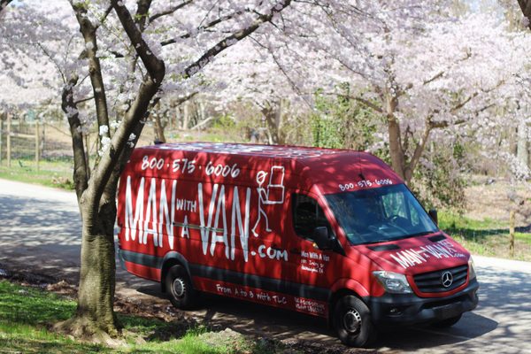man with a van bronx
