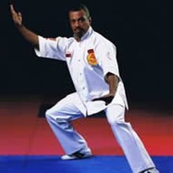 Dennis Brown Shaolin Wh-Shu Training Center - Martial Arts Rockville MD Hall Of Fame Member Dennis Brown Shaolin Kung Fu Forms
