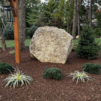 Egan Landscape Group - a large rock in a garden - The image shows a large, rough-textured rock placed in a landscaped yard, surrounded by small evergreen shrubs and ornamental plants with variegated leaves. The ground is covered with brown mulch, and there are trees and additional greenery in the background, creating a natural outdoor setting. - Landscaping Near Me - Plymouth, Massachusetts