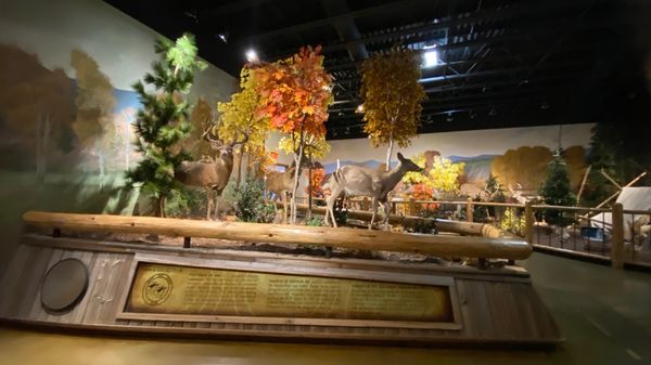 Bass Pro Shops (Formerly Cabela's) by null