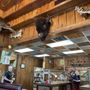 Photo of Old West Steakhouse