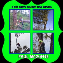 A Cut Above The Rest - A CUT ABOVE THE REST TREE SERVICE