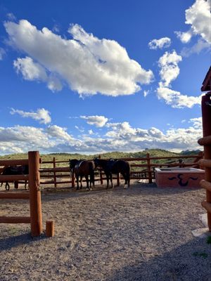 Flying E Ranch by null