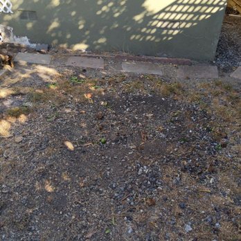 Safe & Care Tree Service - After no trace of the tree - Landscaping Near Me Safe & Care Tree Service - After no trace of the tree - Landscaping Near Me