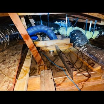 Attic intelligence - After the clean out! All the old insulation gone! And sanitization done! - Insulation Installation Near Me - Fremont, California Attic intelligence - After the clean out! All the old insulation gone! And sanitization done! - Insulation Installation Near Me - Fremont, California