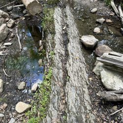 Buzzard Rock North Trail - Rocks in creek