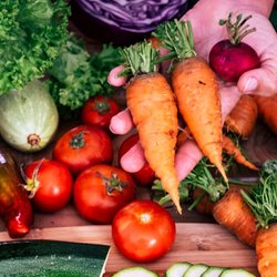 Rookery Bay Farmers Market - Naples - SWFL produce is the prize of shopping farmers markets. Not only do you get the best selections, but we offer great prices, too!