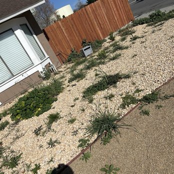 Lopez Landscape - Front lawn work - Landscaping Near Me