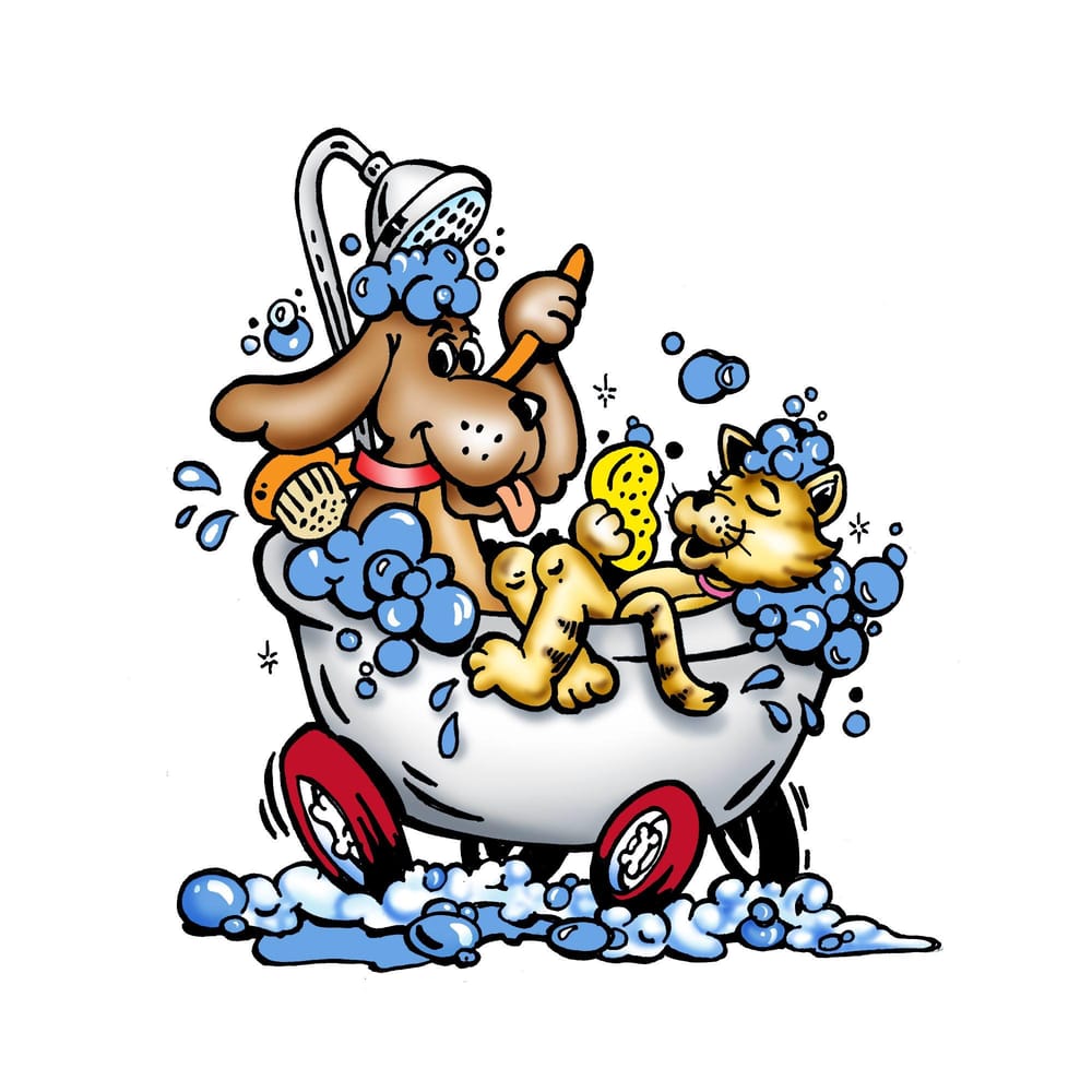 BATH TIME MOBILE PET GROOMING - Updated July 2025 - 12 Reviews - Indio, California - Pet ...