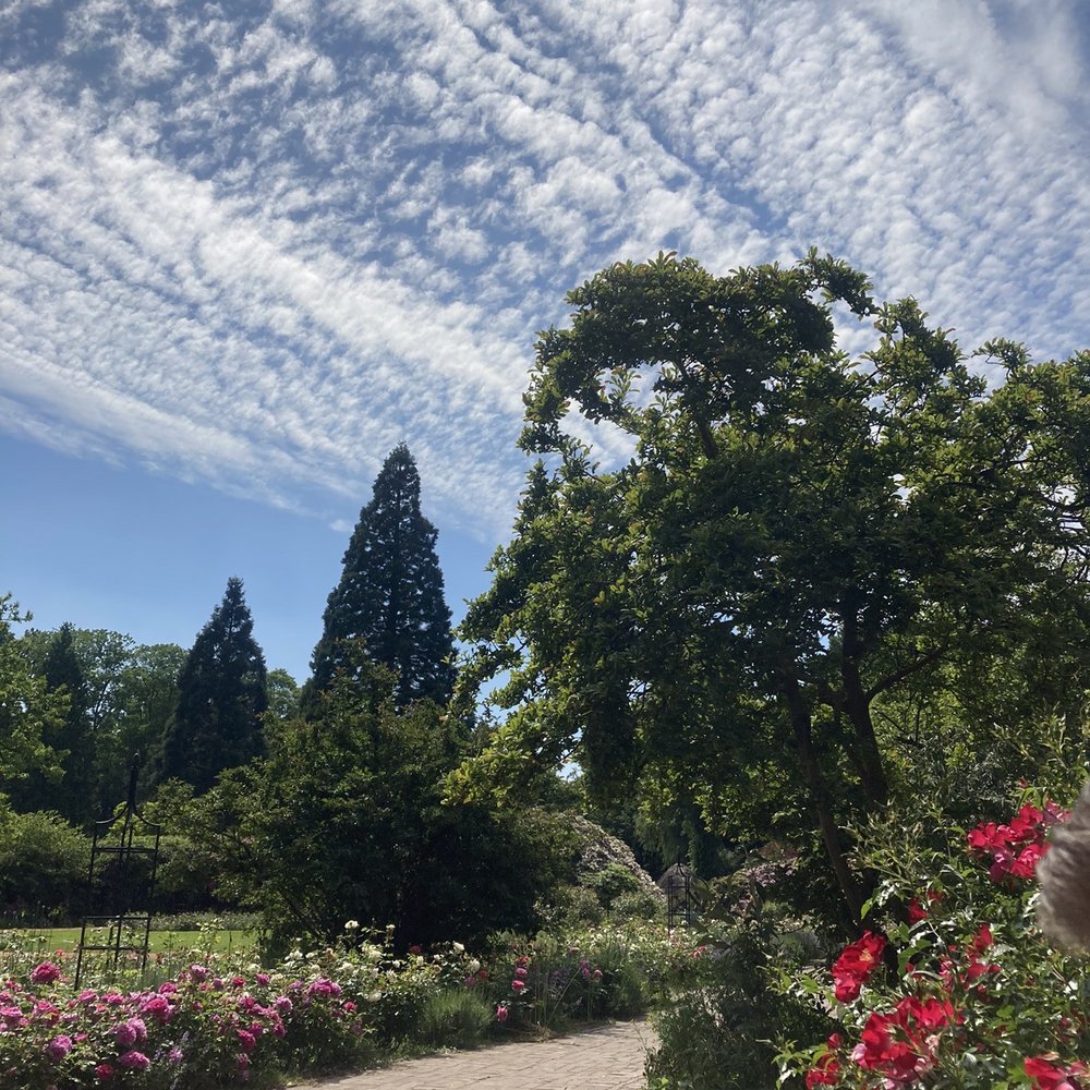 Schlossgarten - Parks Near Me - Oldenburg, NI