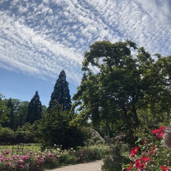 Schlossgarten - Parks Near Me - Oldenburg, NI