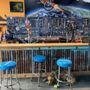 Photo of Dirty Fingers Bicycles Repair
