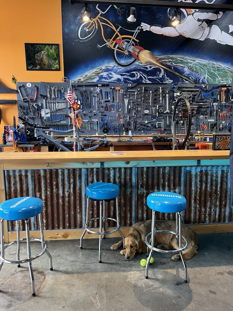 DIRTY FINGERS BICYCLES REPAIR Updated September 2024 12 Photos & 30