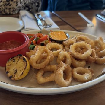North Italia - Calamari Fritti - Italian Near Me - Dunwoody, Georgia