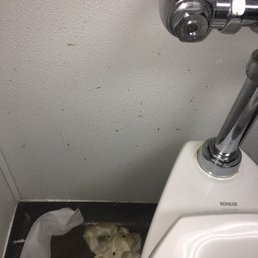 OLD urine soaked toilet paper wads