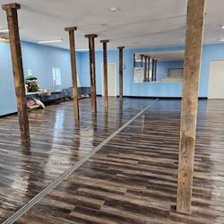 Animal Friends' Pampered Paws - This is the new indoor daycare area.