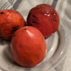Blossom Bluff Orchards - Ripened Hachiya persimmons, shelter in place