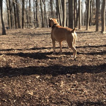 Cabin John Dog Park 68 Photos 49 Reviews Dog Parks 10900