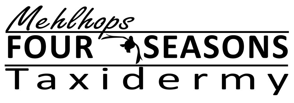 Four Season Taxidermy - taxidermy in Courtland, MN