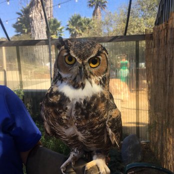 Environmental Nature Center - Summer Camps Near Me - Newport Beach, California Environmental Nature Center - Summer Camps Near Me - Newport Beach, California