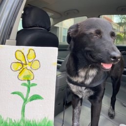 Daycare gift