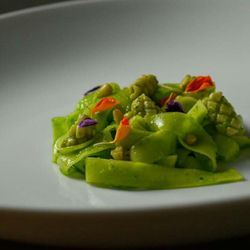 Saha - Cucumber / zhoug / firefly squid
