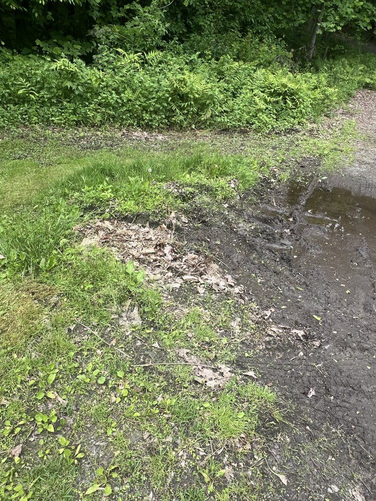 Slide of Bantam Wesson Energy