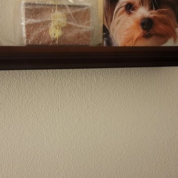 Only Cremations For Pets - Pet Transportation Near Me - Newport Beach, California Only Cremations For Pets - Pet Transportation Near Me - Newport Beach, California