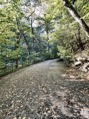Wissahickon Valley Park by null