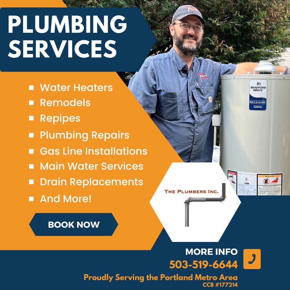 Slide of The Plumbers