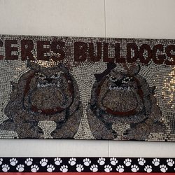 Ceres High School - Bulldog Spirit!
