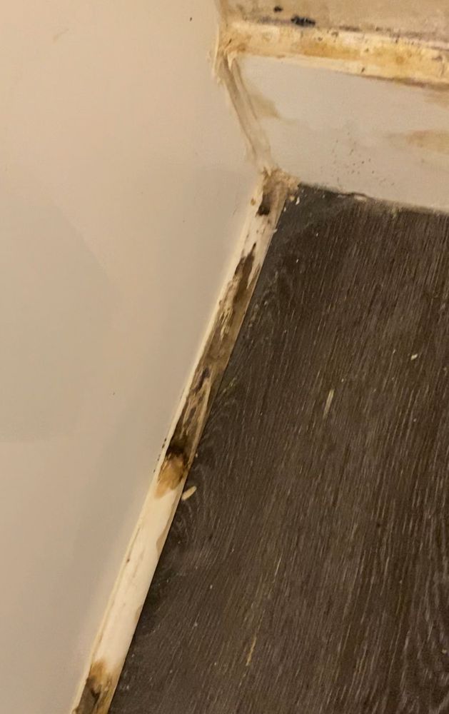 PARKSIDE APARTMENTS Updated October 2024 46 Photos 3214 Valley Bluff Dr, Doraville