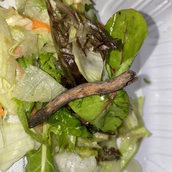 Maui Teriyaki - Piece of wood in salad - Specialty Food Near Me - Redondo Beach, California Maui Teriyaki - Piece of wood in salad - Specialty Food Near Me - Redondo Beach, California