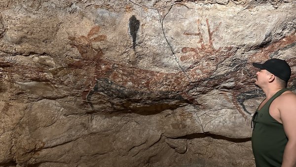 Museum of the Californias by null