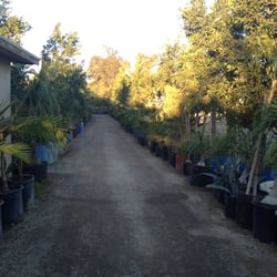 Vivero la Central