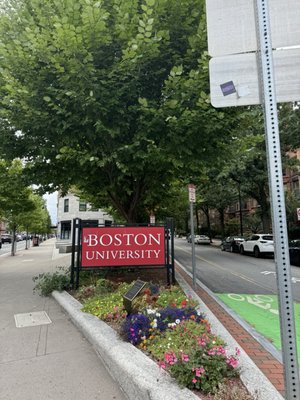 Boston University by null