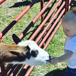 Carolina Fun Factory - Petting Zoos entertain guests of all ages! Who doesn't love feeding a cute little goat or lamb?