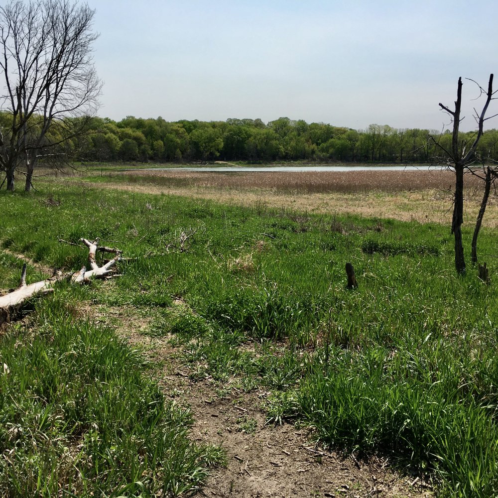 Birch Island Park - The wetlands. - Parks Near Me - Eden Prairie, Minnesota Birch Island Park - The wetlands. - Parks Near Me - Eden Prairie, Minnesota