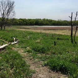 The wetlands.