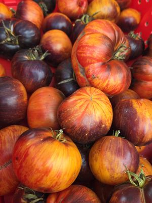 Sellwood Moreland Farmers Market by null
