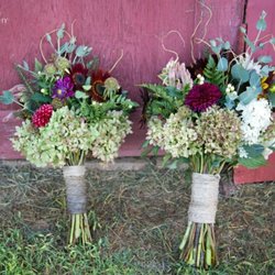 Sevier Blumen
