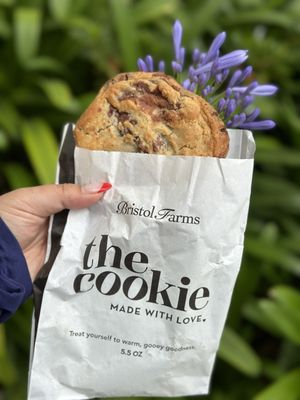 Bristol Farms by null