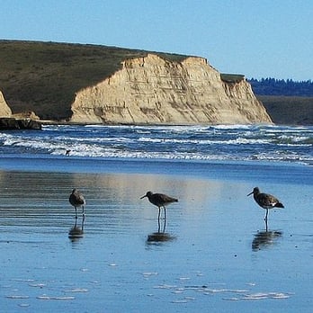 Drakes Beach - Beaches Near Me - Point Reyes Station, California Drakes Beach - Beaches Near Me - Point Reyes Station, California