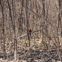 Parc-nature de l'Île-de-la-Visitation