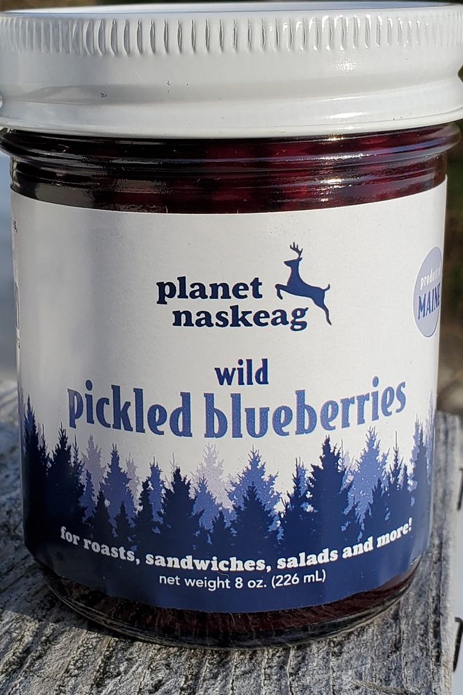 Planet Naskeag Logo